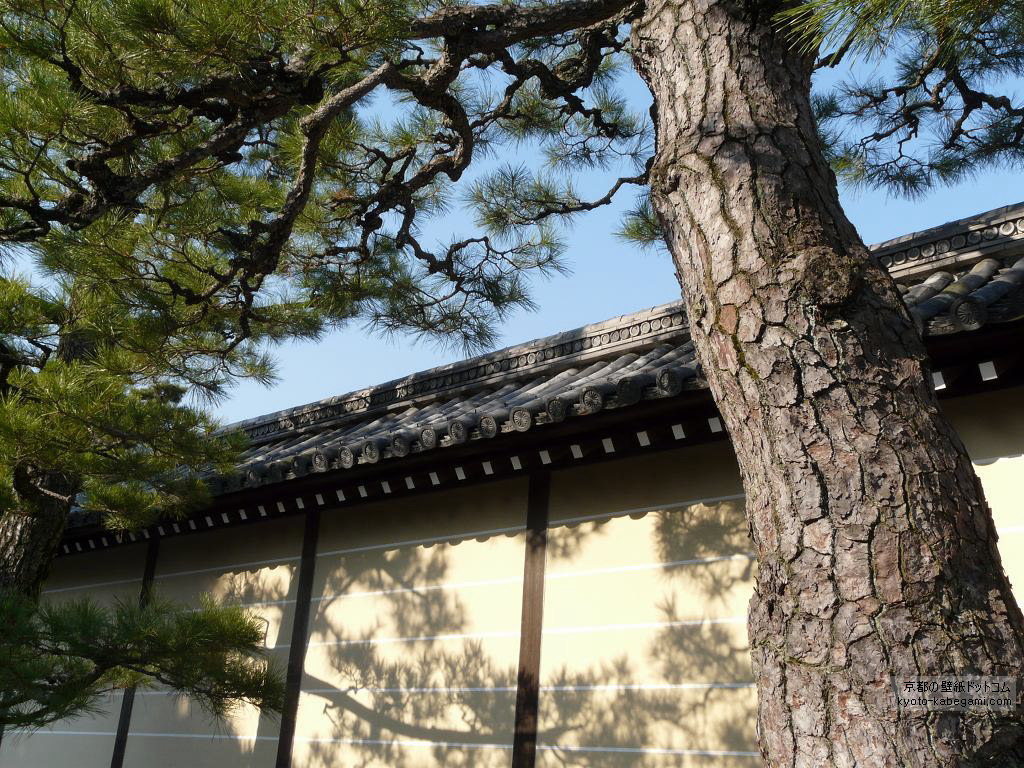 ���S���ǎ�08 ���S�������ɂ�