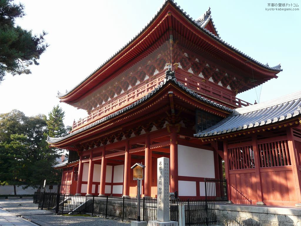 ���S���ǎ�13 ���S���O��